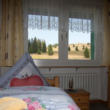 Berggasthof-Pension Todtnauer Hutte Feldberg  Esterno foto
