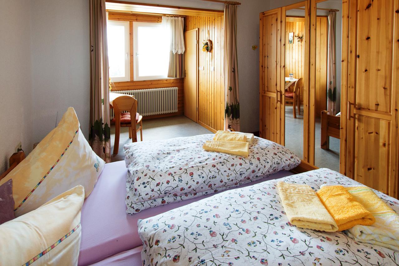 Berggasthof-Pension Todtnauer Hutte Feldberg  Esterno foto