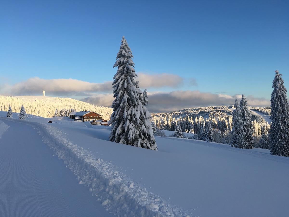 Berggasthof-Pension Todtnauer Hutte Feldberg  Esterno foto