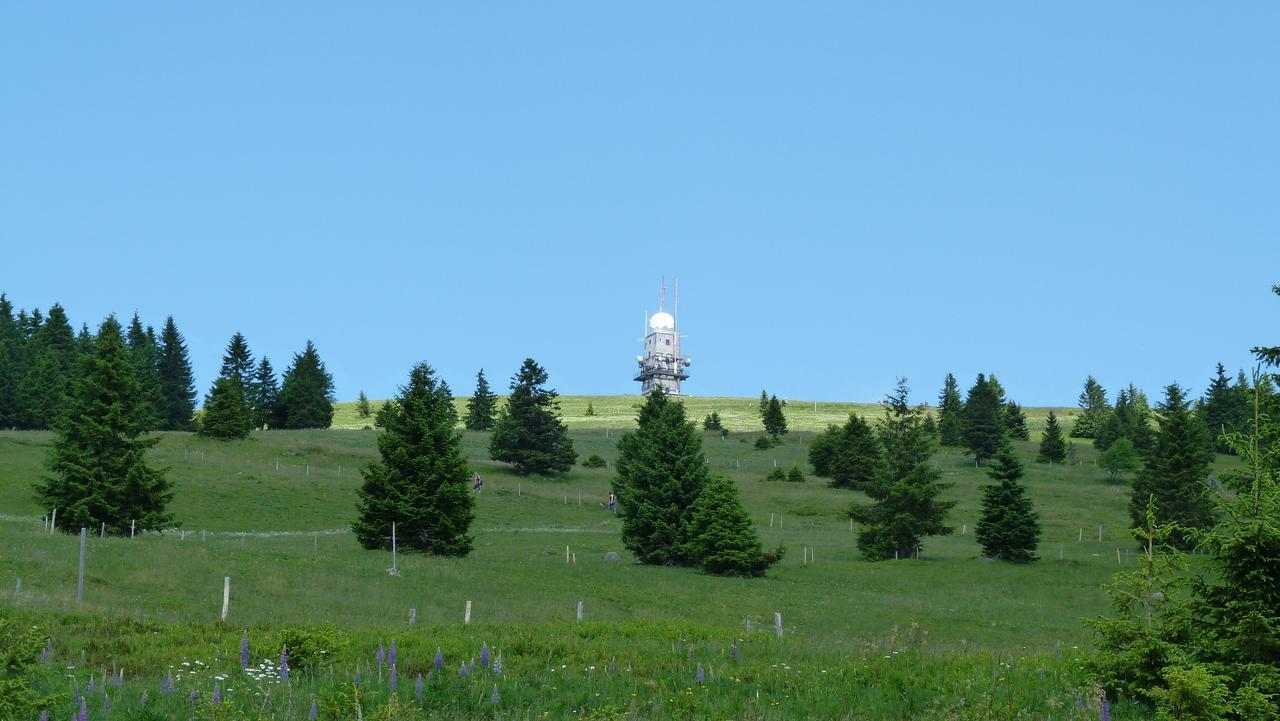 Berggasthof-Pension Todtnauer Hutte Feldberg  Esterno foto