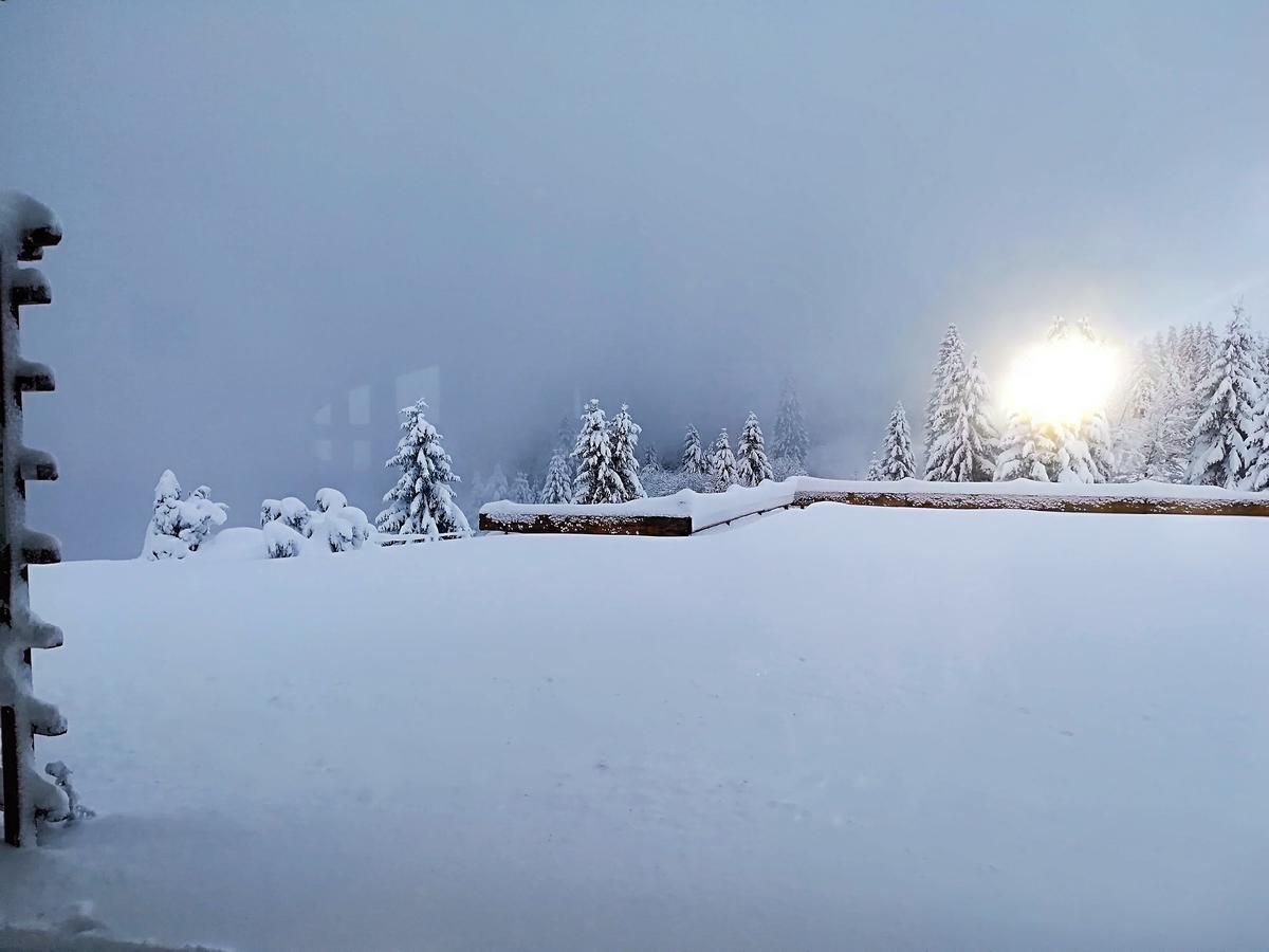 Berggasthof-Pension Todtnauer Hutte Feldberg  Esterno foto