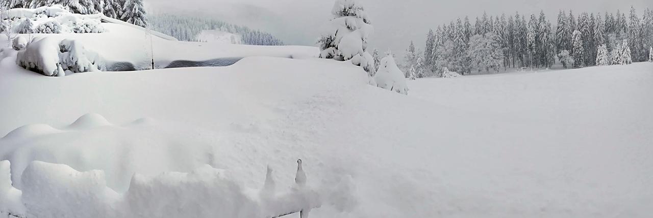 Berggasthof-Pension Todtnauer Hutte Feldberg  Esterno foto